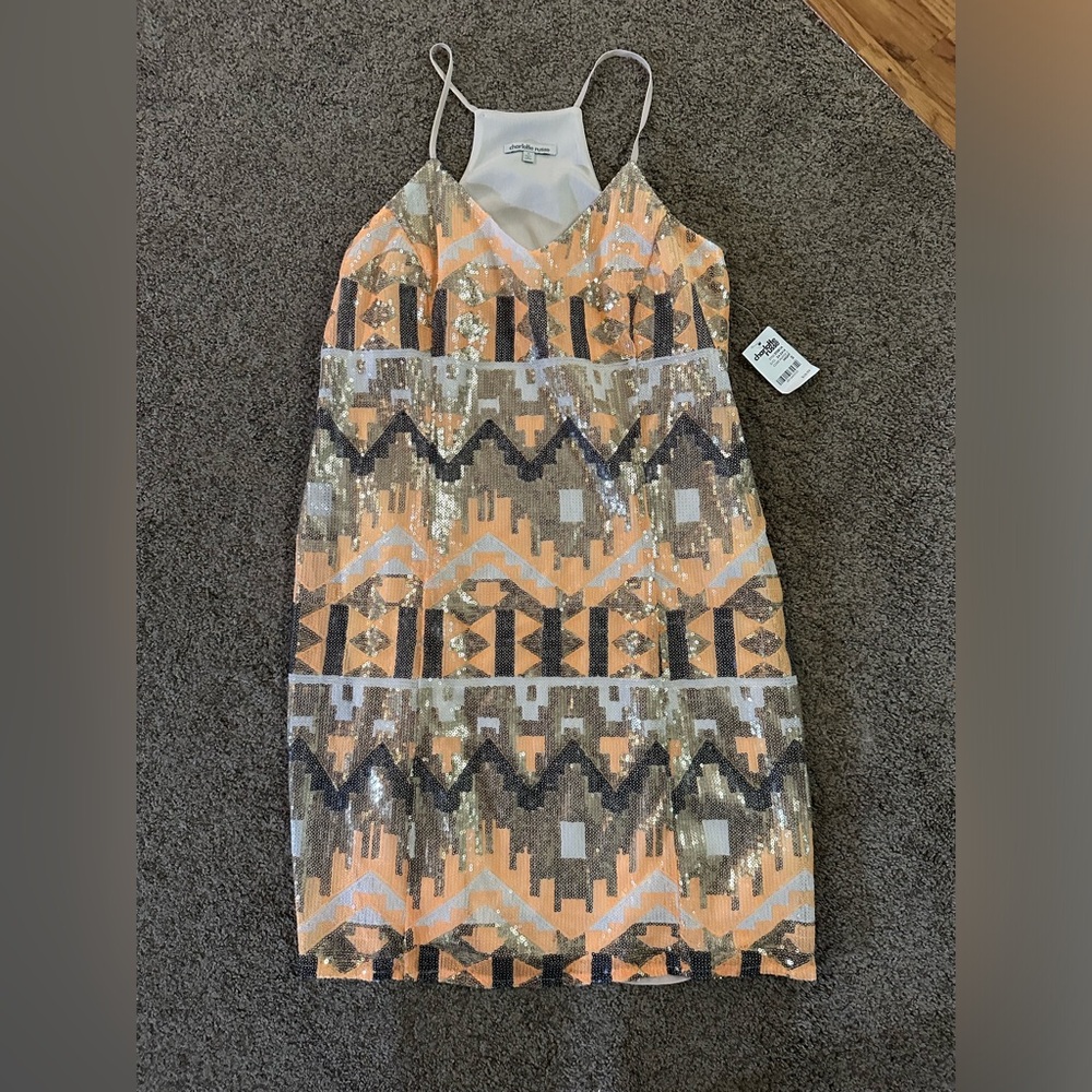 New Charlotte Russe Dress (small)